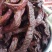 牛肉干黄牛肉鲜肉