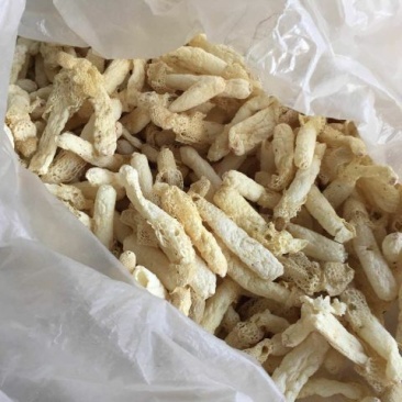 干竹荪一级