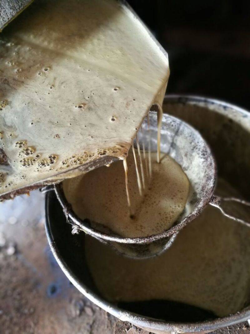 压榨菜籽油一级