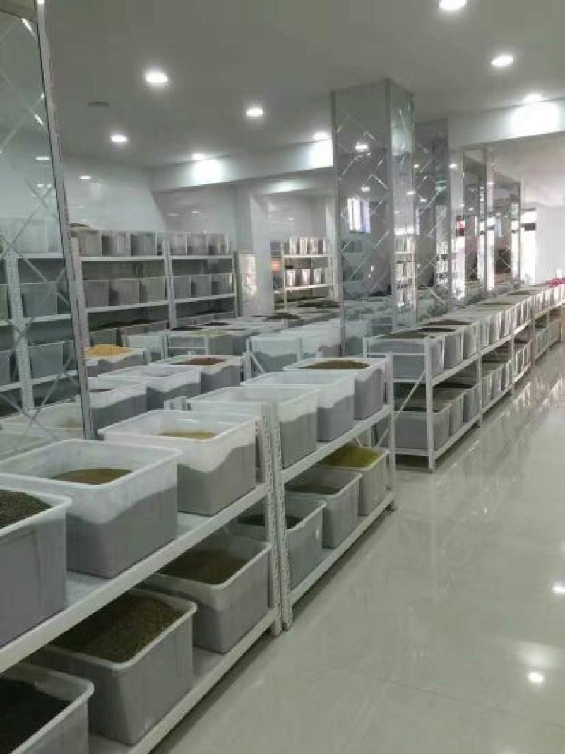 优质四季青草种多重检测提纯人工分拣优质草种