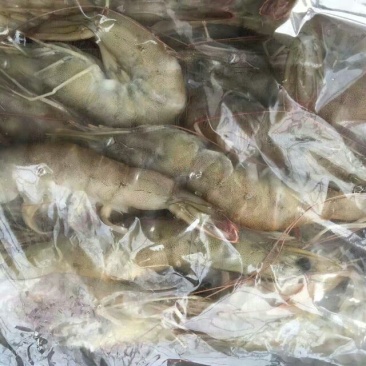 青虾食用26~30只/kg