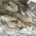 青虾食用26~30只/kg