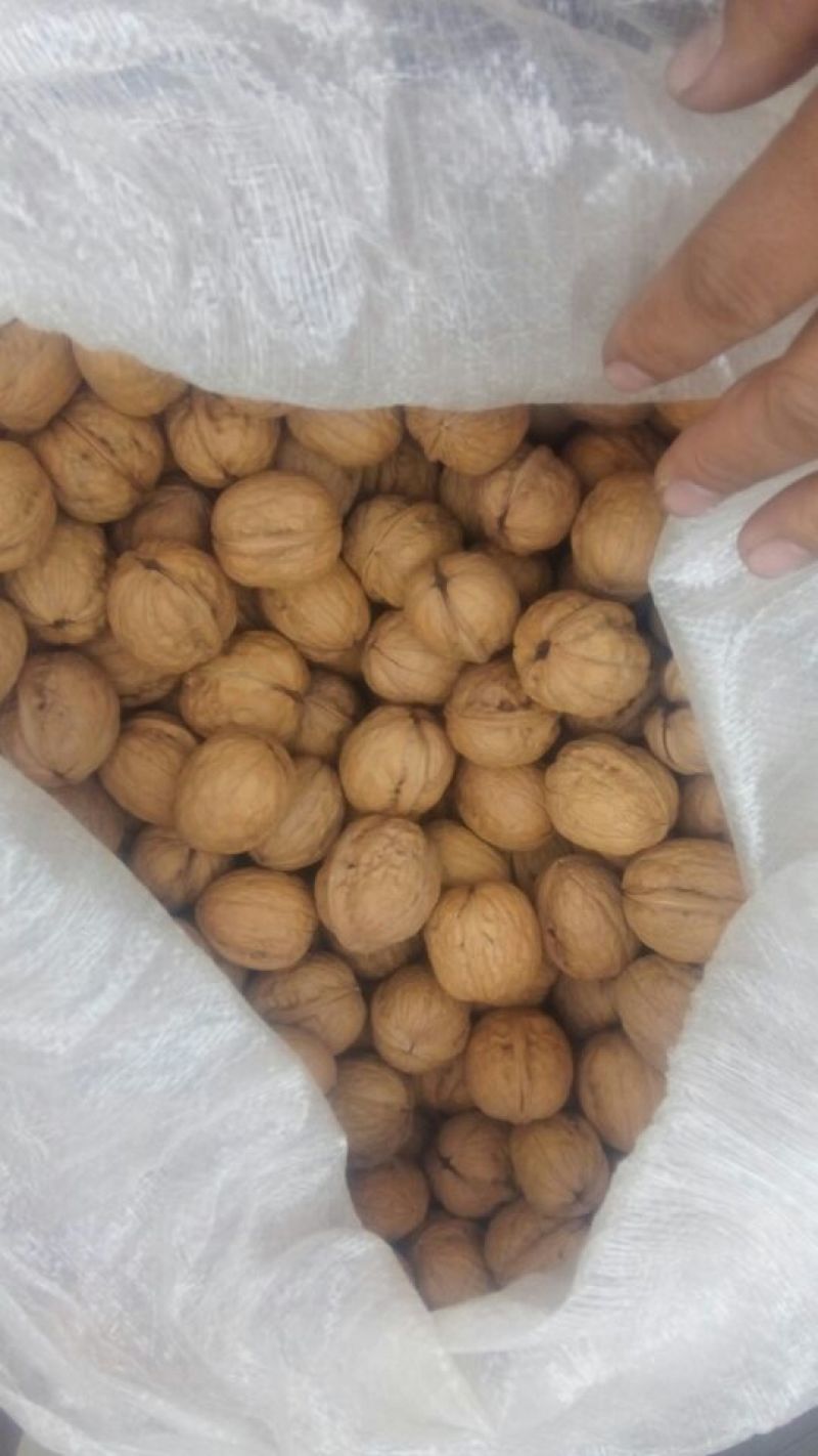 薄皮核桃30mm以上去皮干