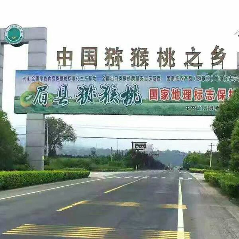 徐香猕猴桃90~100克
