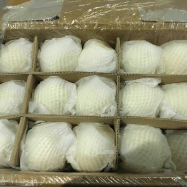 雪花梨450~500g纸箱