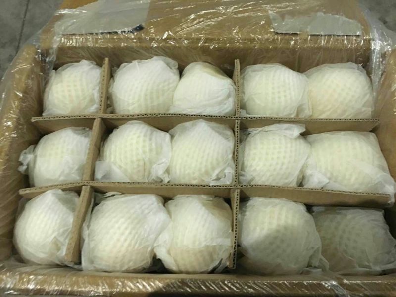雪花梨450~500g纸箱