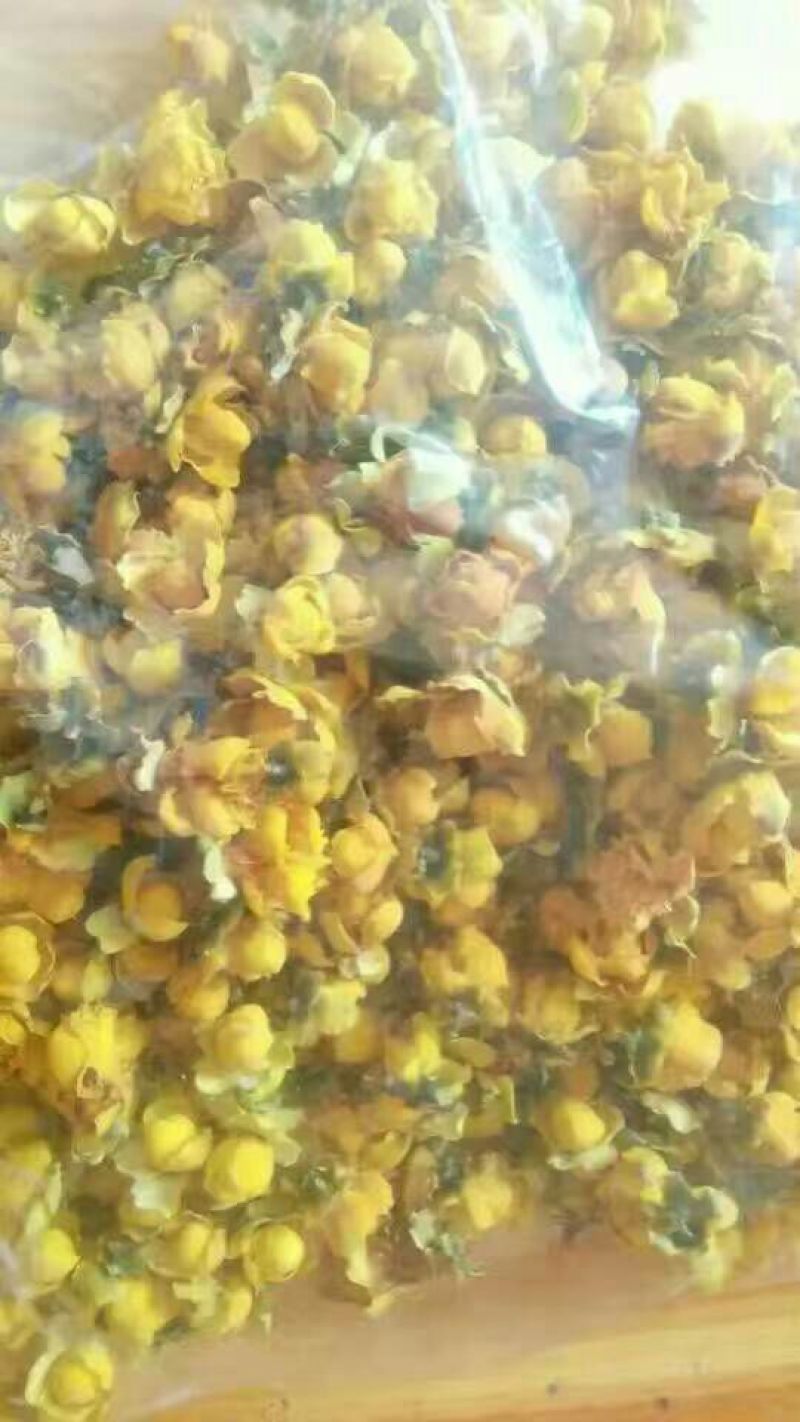 金花茶叶一级