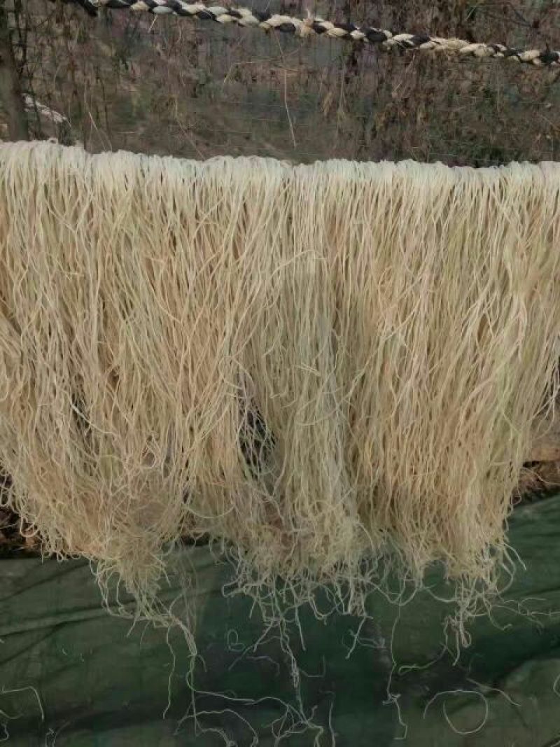 红薯粉条中粉