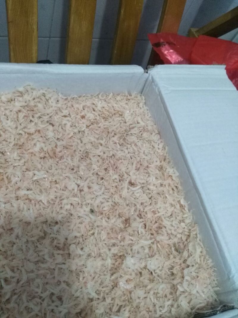 虾皮一级