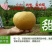 沙澧特晚秋黄梨350~400g纸箱
