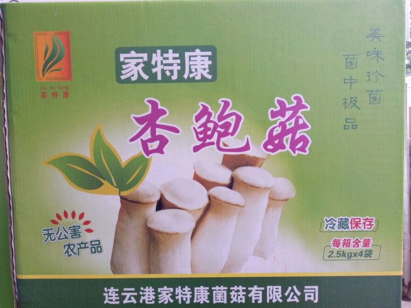 杏鲍菇特级