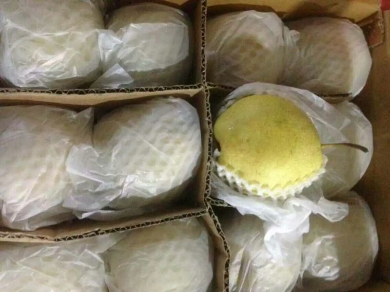 雪花梨250~300g纸箱
