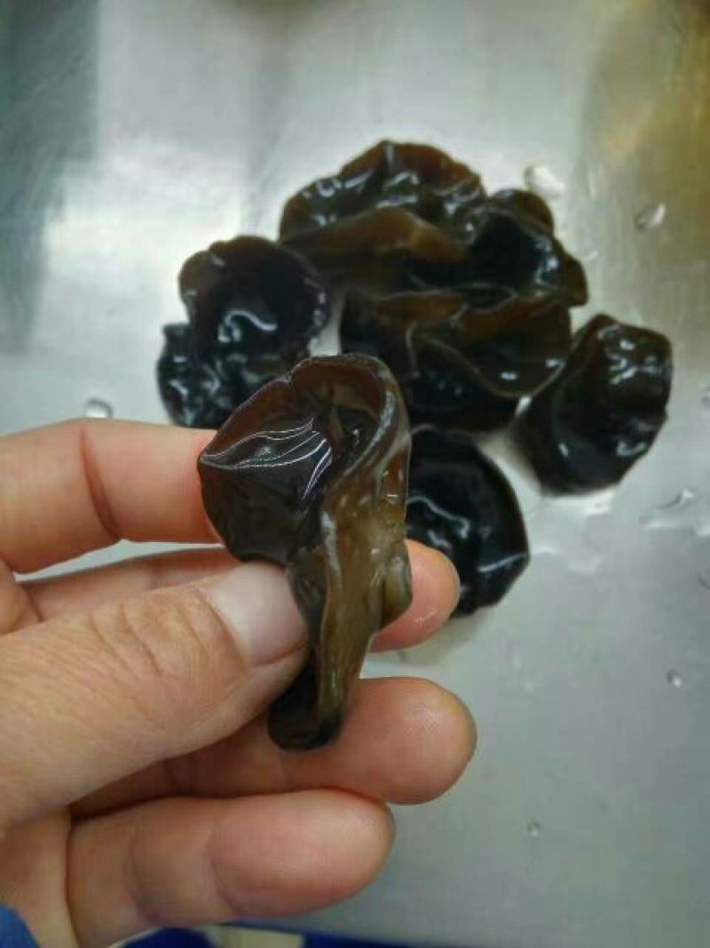 黑木耳一级