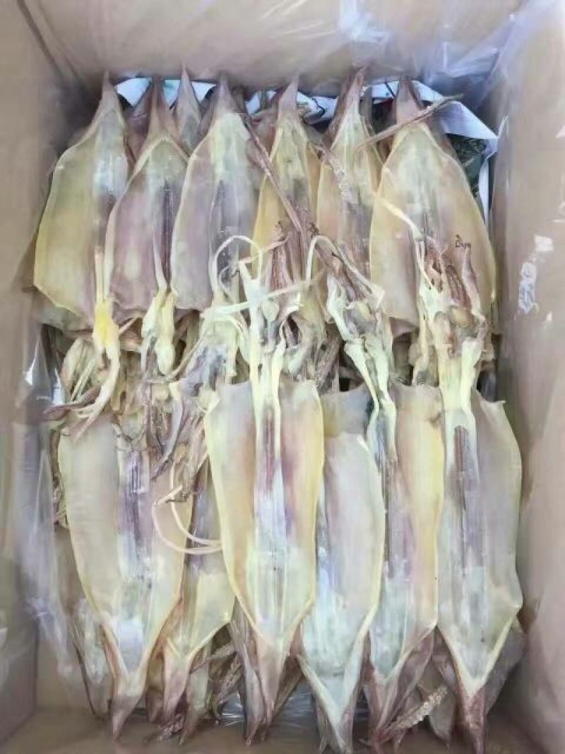 鱿鱼干散装