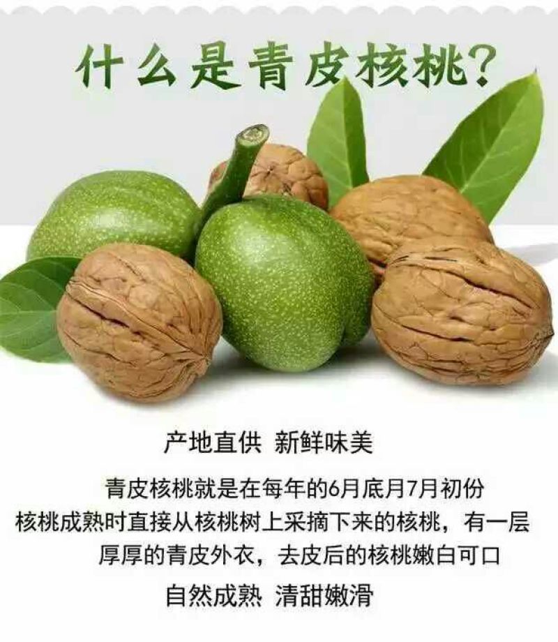 青皮核桃40mm以上青皮湿