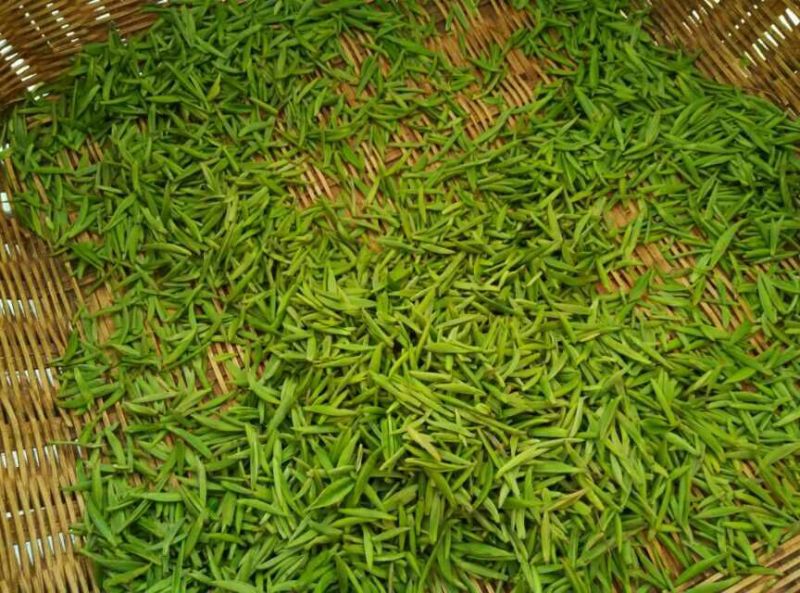 五峰绿茶