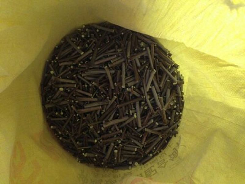 枣树苗品种纯正规格齐全，纯正沾化冬枣苗
