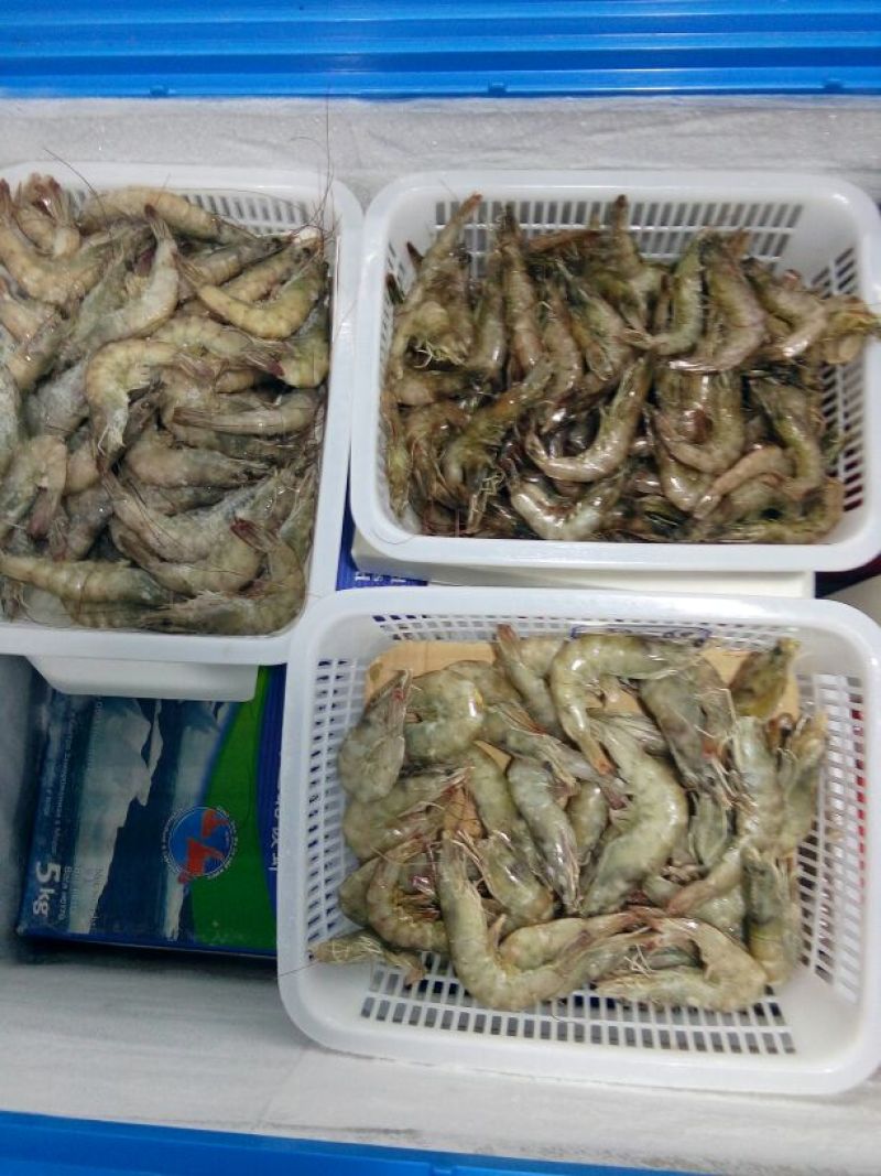 青虾