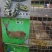 生态甲鱼2.5~3斤