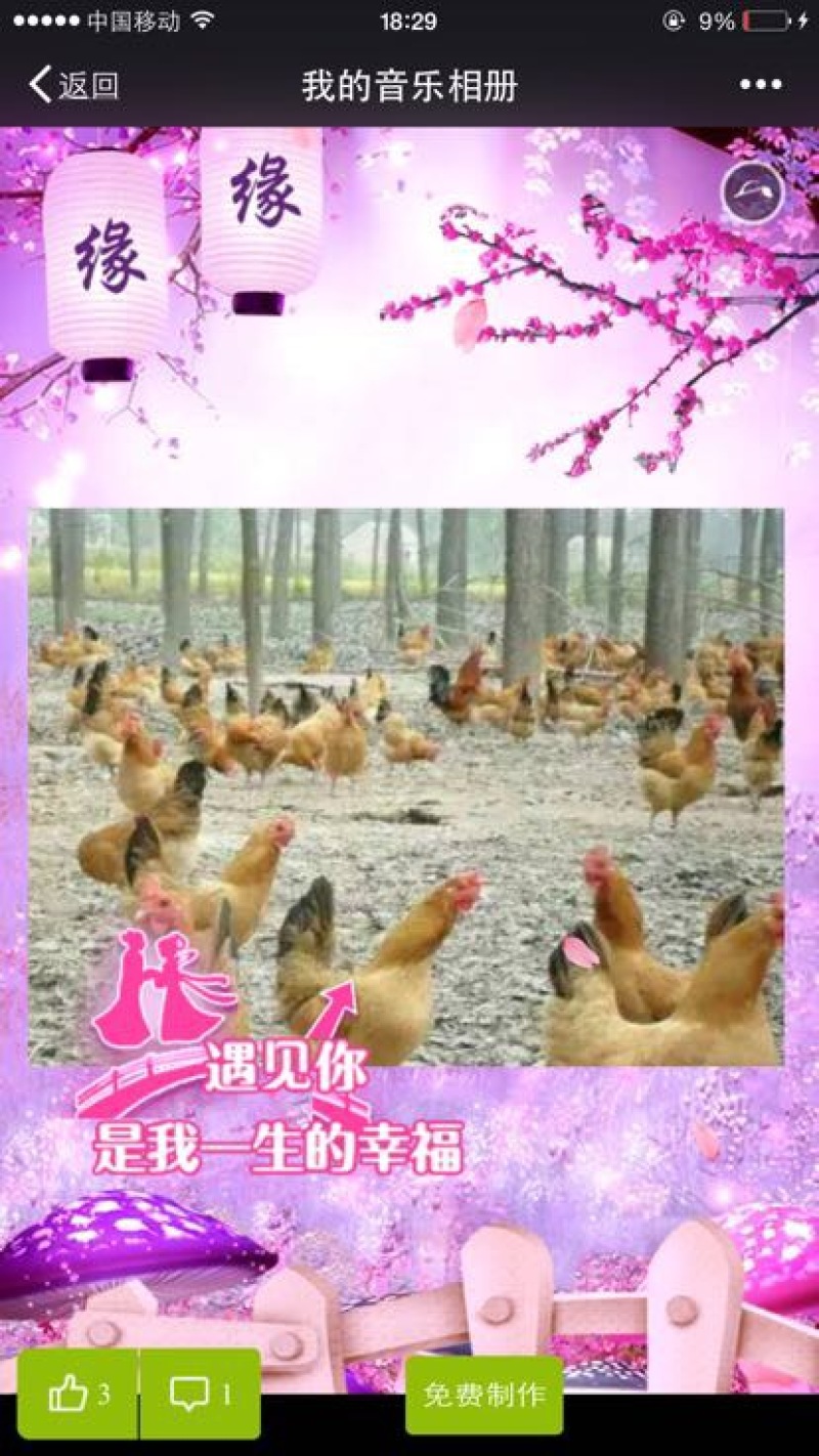 粉蛋