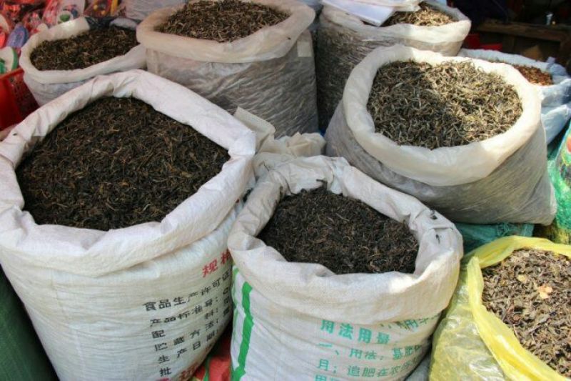 古树茶特级