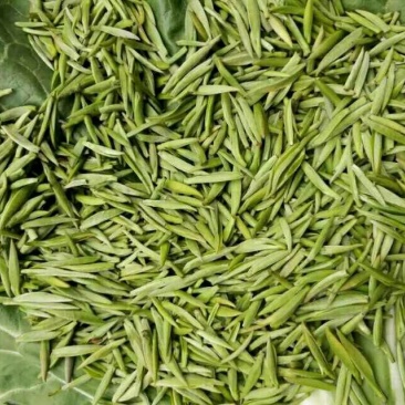 川茶特级