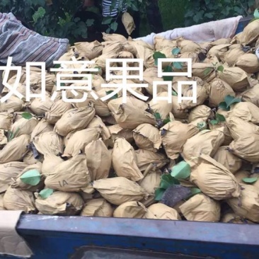 皇冠梨