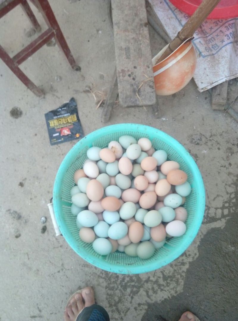 绿壳鸡蛋食用50g以下