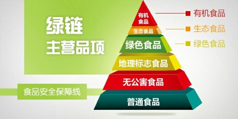 粉条中粉