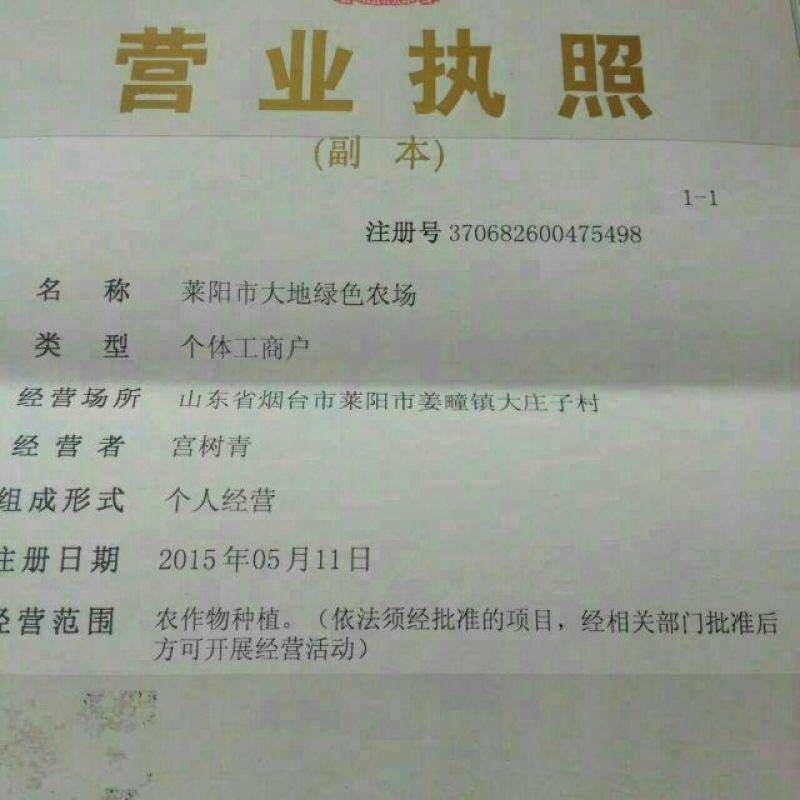 秋月梨400~450g纸箱