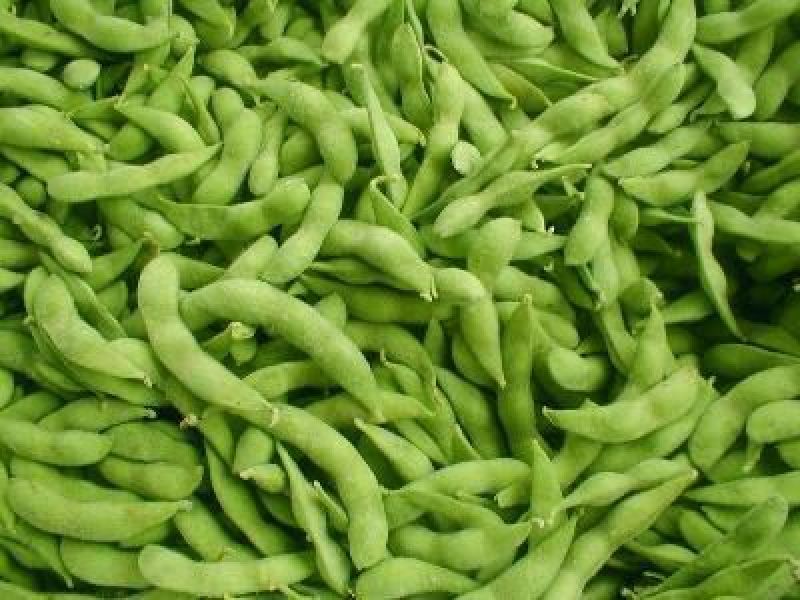 毛豆11-18克