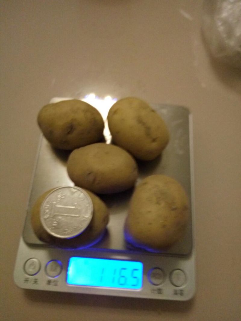 荷兰十五黄心黄心小土豆1两以下，油炸专用小土豆
