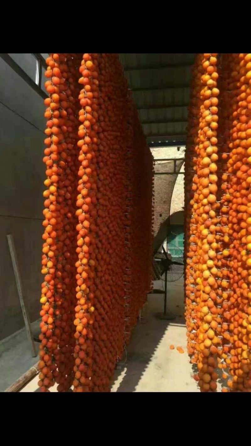 柿饼1~2两
