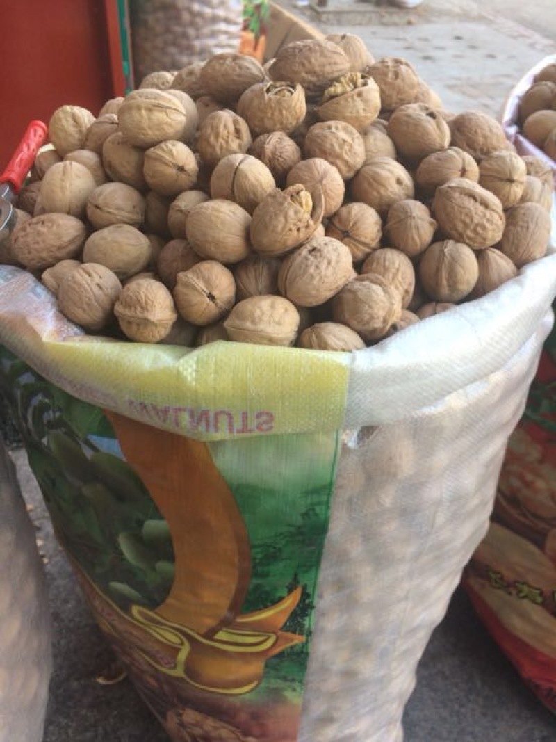 新疆核桃