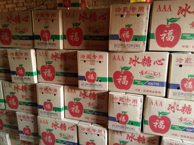 红富士苹果70mm以上膜袋