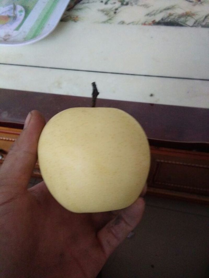 皇冠梨纸加膜