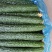 黄瓜18~22公分鲜花带刺