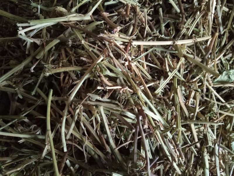 花生糠粗糠