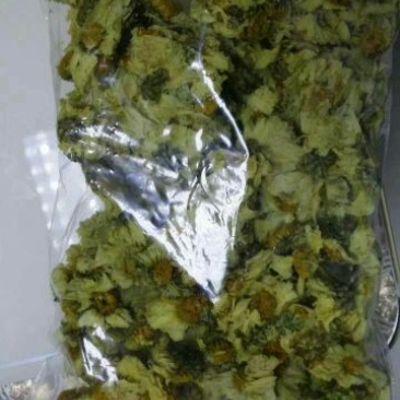 杭州白菊袋装