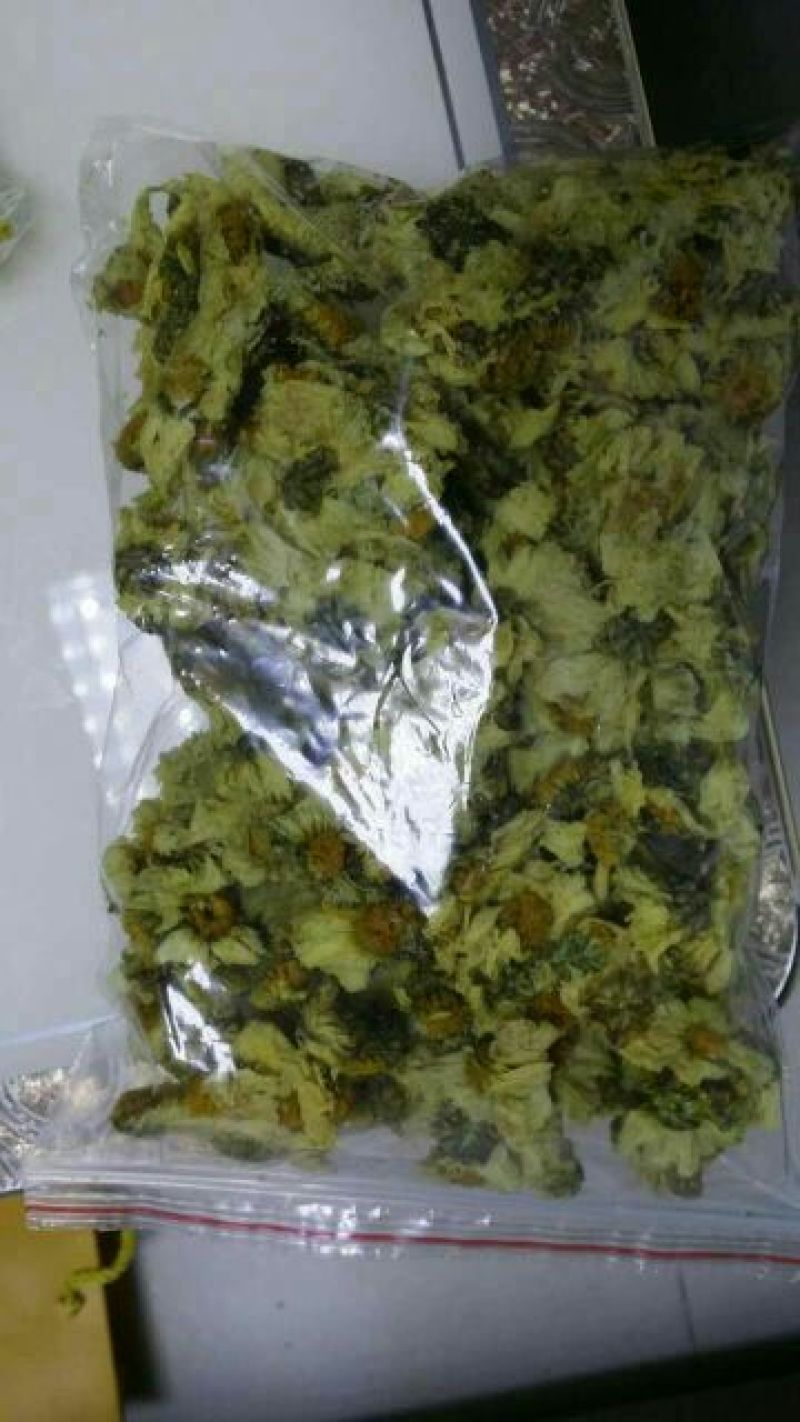 杭州白菊散装