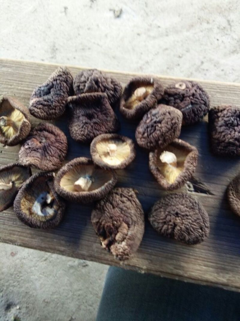 干香菇