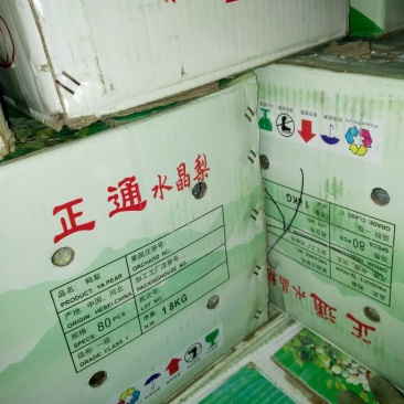 鸭梨200~250g膜袋