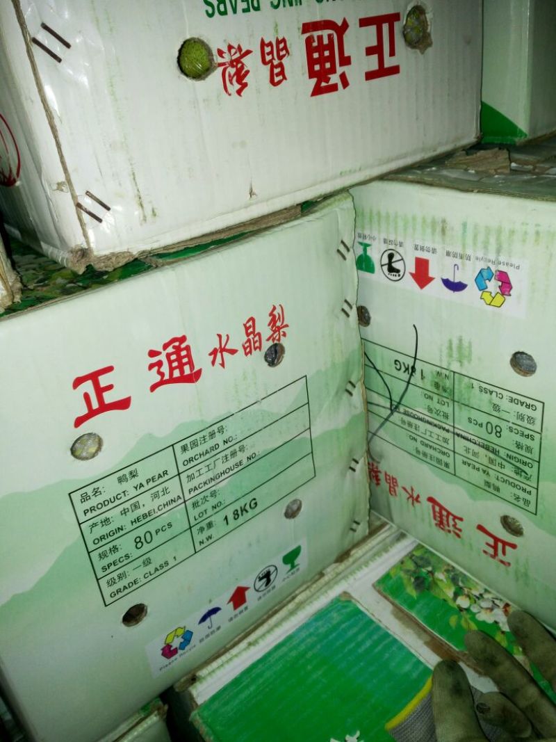 鸭梨200~250g膜袋