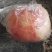 桃王80mm以上膜袋