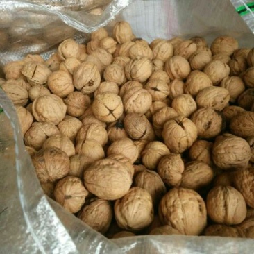 薄皮核桃30mm以上去皮