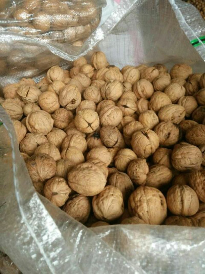 薄皮核桃30mm以上去皮