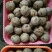 山核桃去皮干
