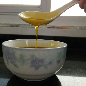 油菜籽1