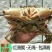 锯缘青蟹食用雄蟹