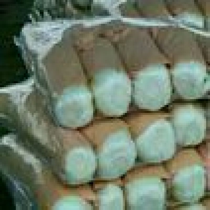 北京三号白菜4~6斤